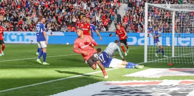 1665390169914088267.jpg 微信图片_20221010161453.jpg